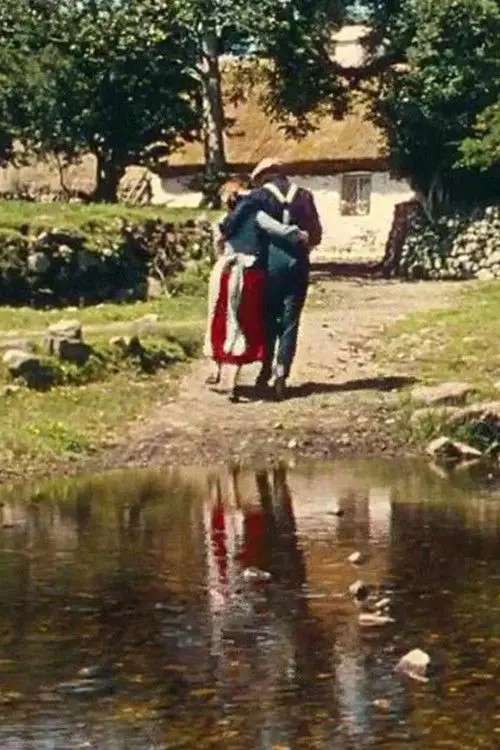 Movie poster "Muide Éire"