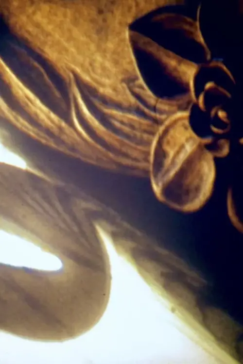 Movie poster "Dedication: Bernice Hodges"