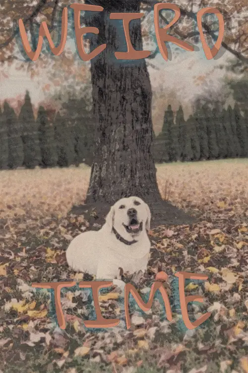 Movie poster "Weird Time"