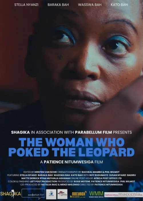 Movie poster "The Woman Who Poked the Leopard"