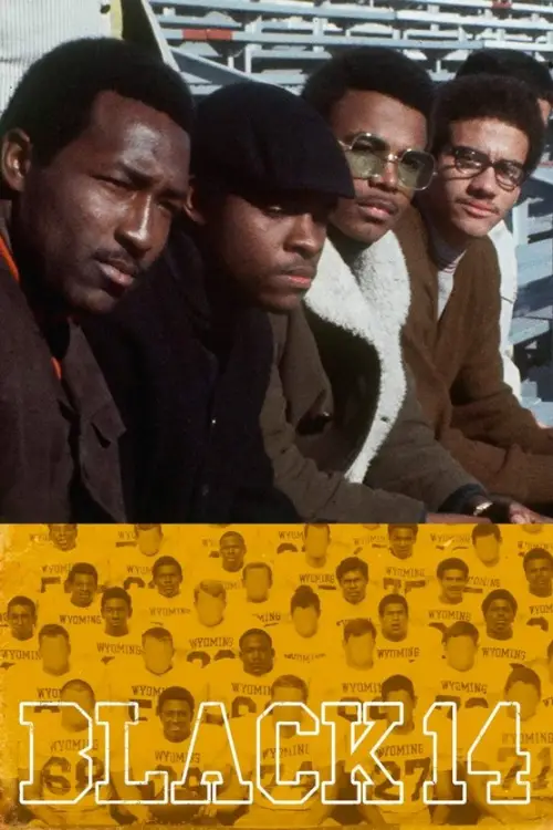 Movie poster "The Black 14"