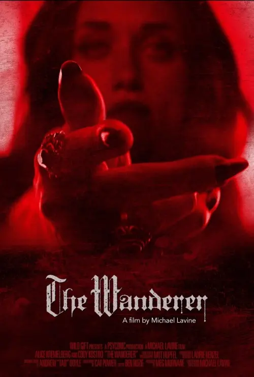 Movie poster "The Wanderer"
