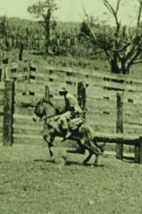 Movie poster "Auf einer Pferdefarm in Rio Grande!"