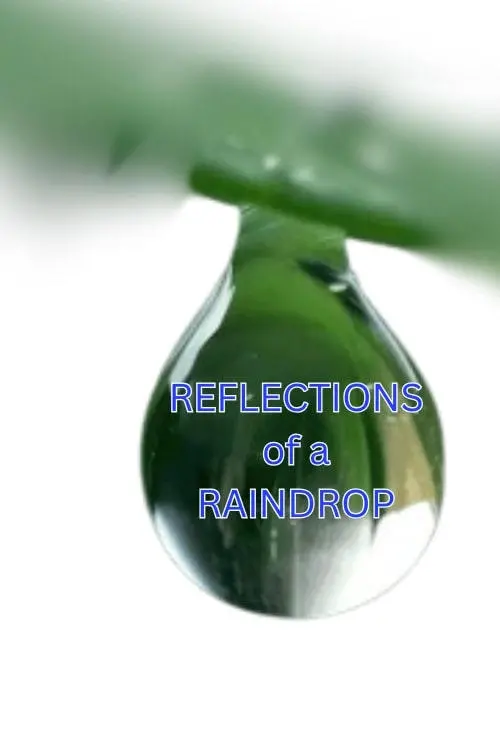 Movie poster "Reflections in a Raindrop: A Student Film"
