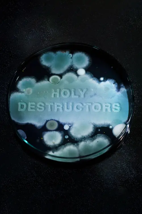 Movie poster "Holy Destructors"