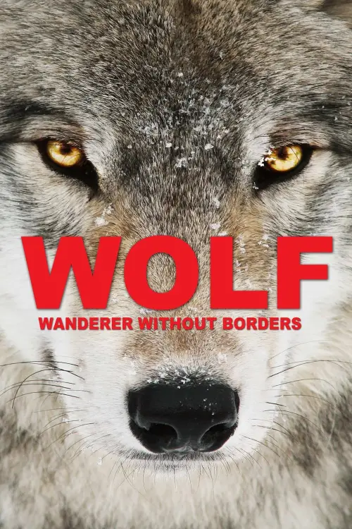 Movie poster "Wolf: Wanderer Without Borders"