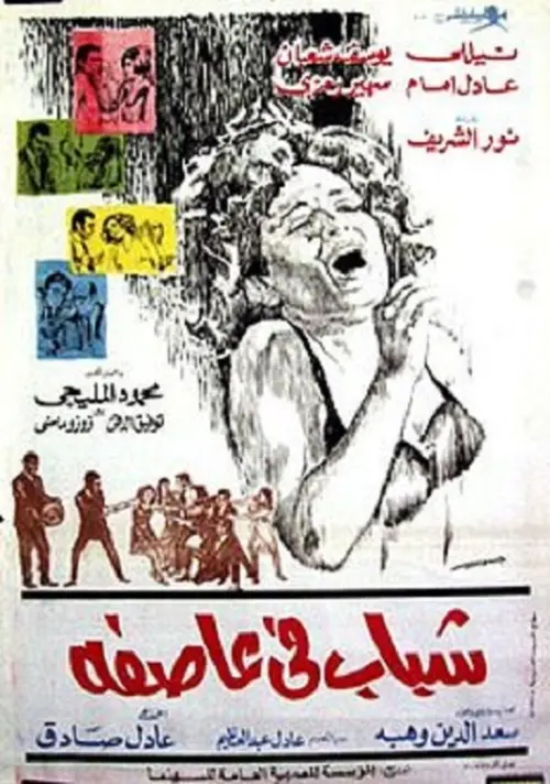 Movie poster "Youth in a Storm"