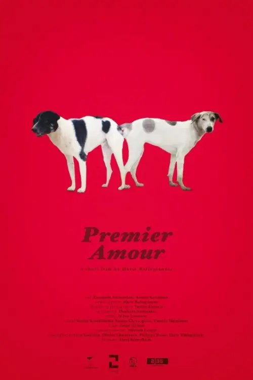 Movie poster "Premier Amour"