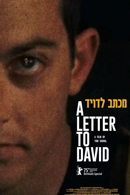 Movie poster "A Letter to David"