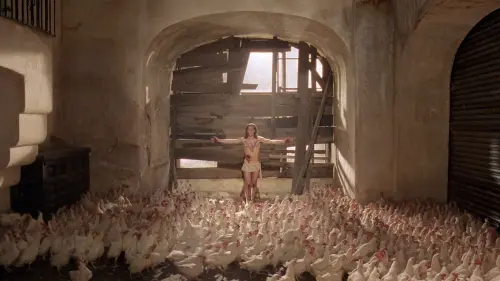 Watch film Santa Sangre | Jodorosky