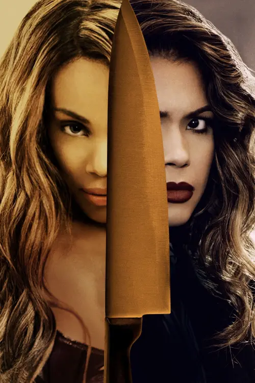 Movie poster "Twisted House Sitter"