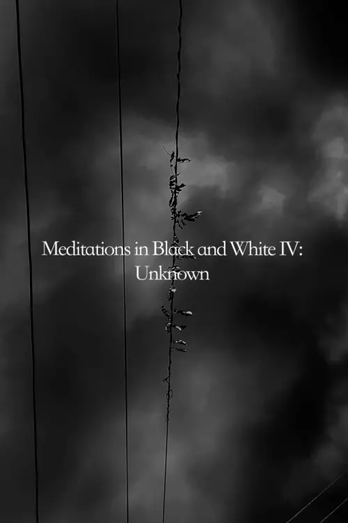 Movie poster "Meditations in Black and White IV: Unknown"