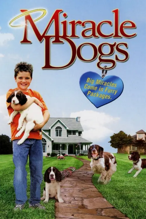 Movie poster "Miracle Dogs"