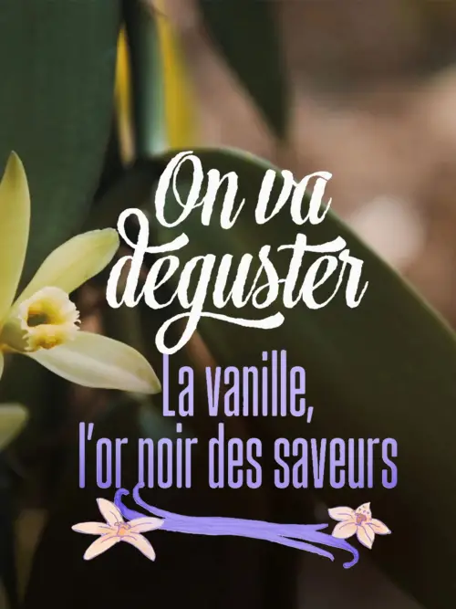 Movie poster "On va déguster : La vanille, l