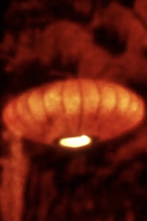 Movie poster "Song 18"