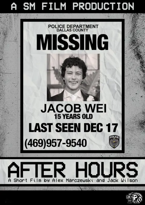 Movie poster "After Hours"