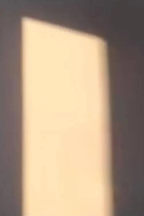 Movie poster "le temps détruit nous"