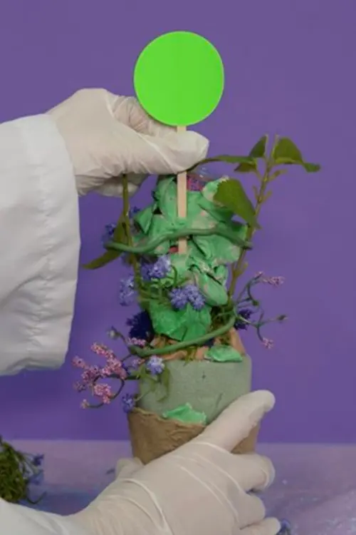 Movie poster "Miss Kim Lilac"