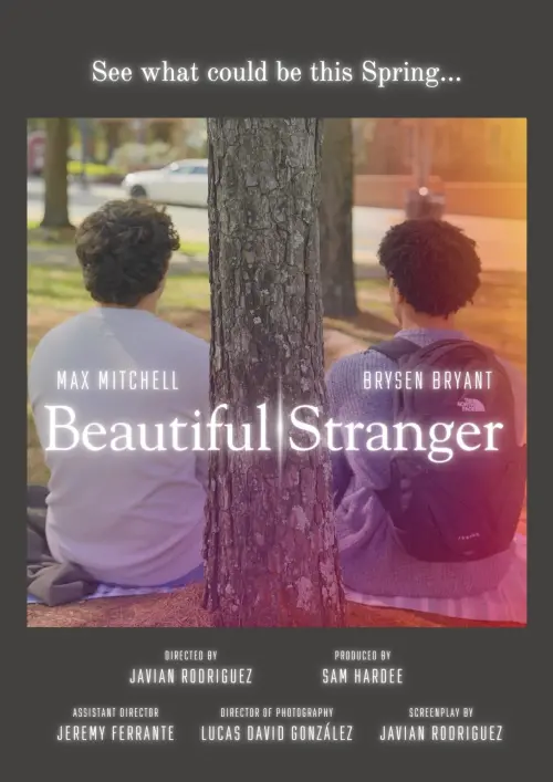 Movie poster "Beautiful Stranger"