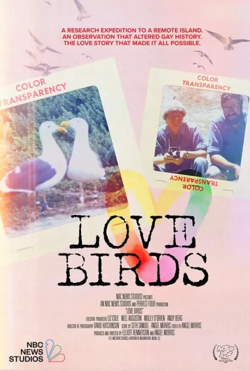 Movie poster "Love Birds"