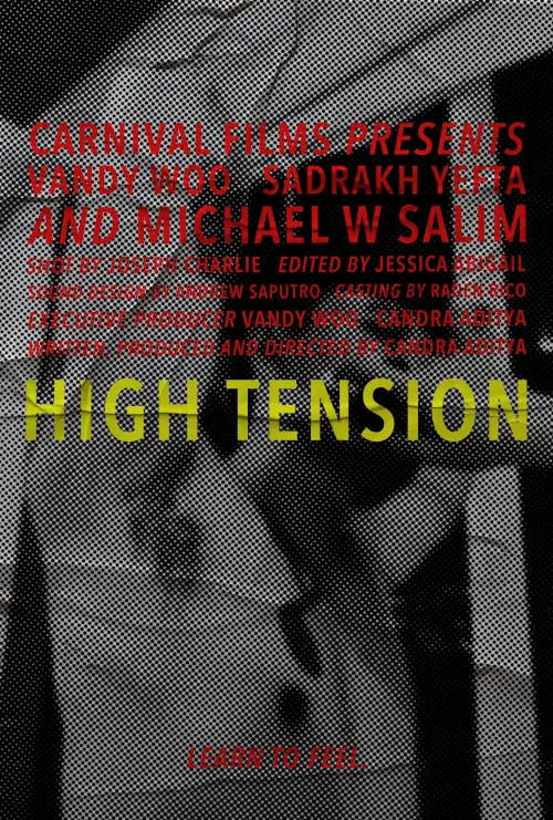 Movie poster "High Tension"