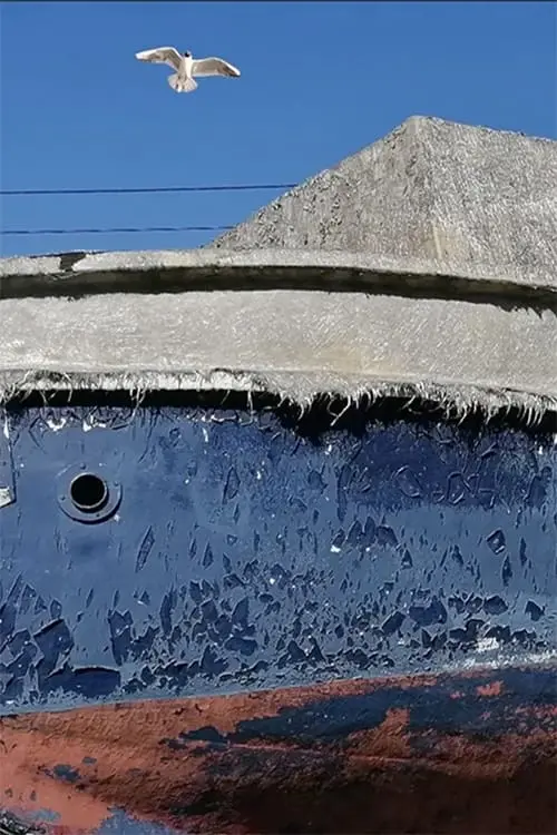 Movie poster "Petticoat Fire"