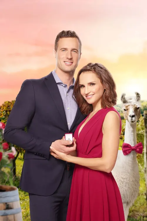 Movie poster "Valentine in the Vineyard"