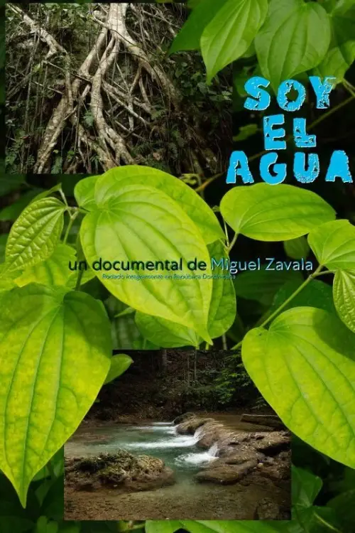 Movie poster "Soy el Agua"