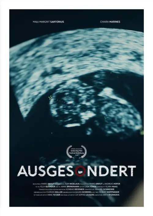 Movie poster "Screened Out"