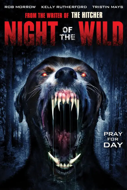 Movie poster "Night of the Wild"