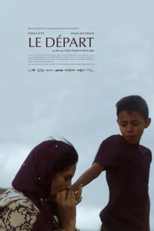 Movie poster "The Departure"