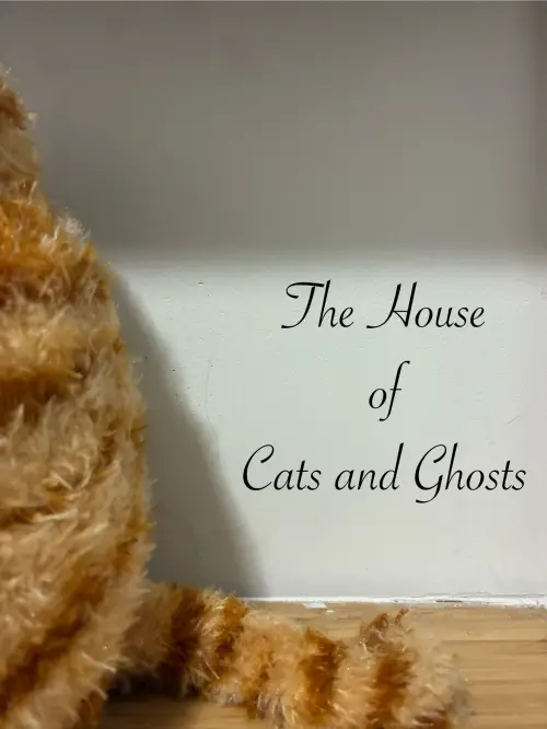 Movie poster "The House of Cats and Ghosts"