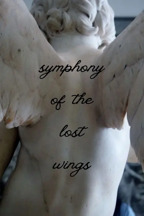 Movie poster "Symphony Of The Lost Wings"