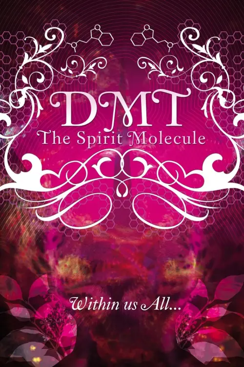 Movie poster "DMT: The Spirit Molecule"