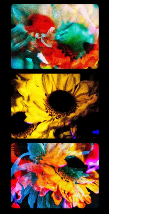 Movie poster "Flowers (II)"