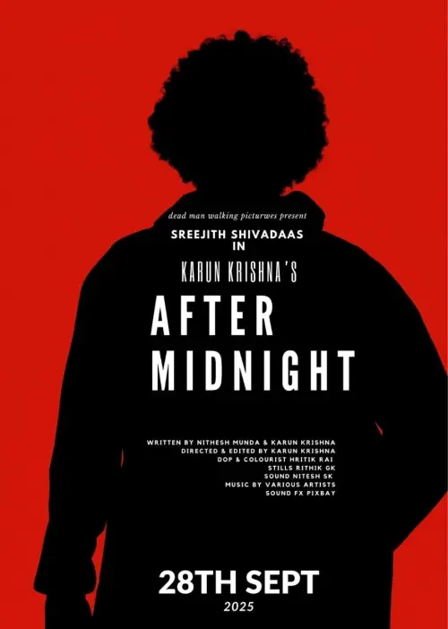 Movie poster "After Midnight"