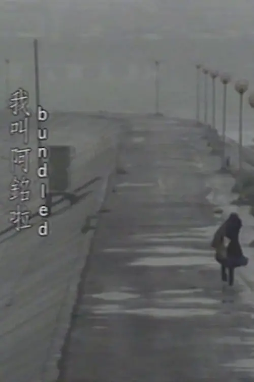 Movie poster "Bundled"