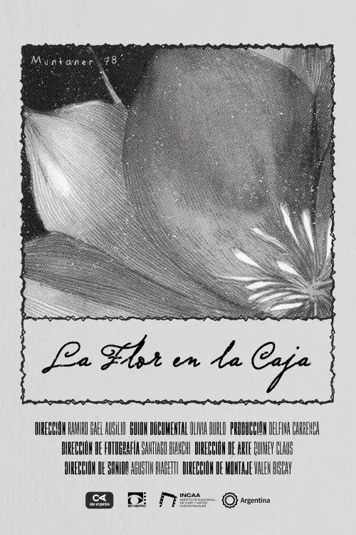 Movie poster "The Flower in the Box"