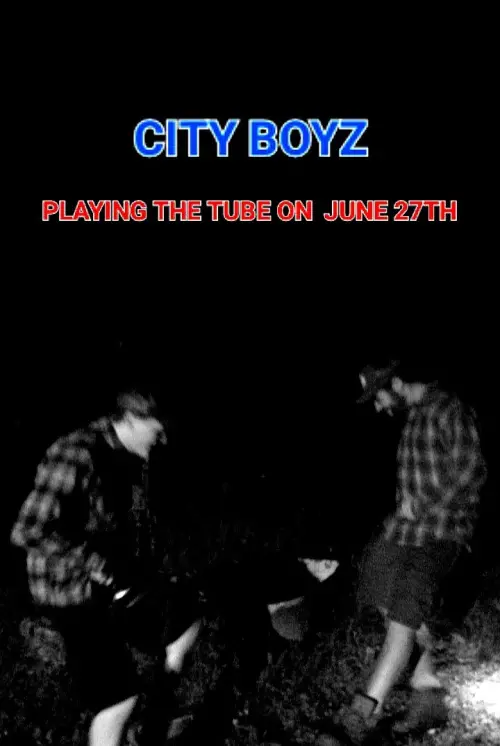 Movie poster "City Boyz"