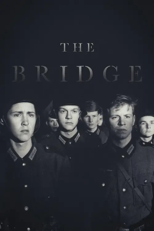 Movie poster "The Bridge"