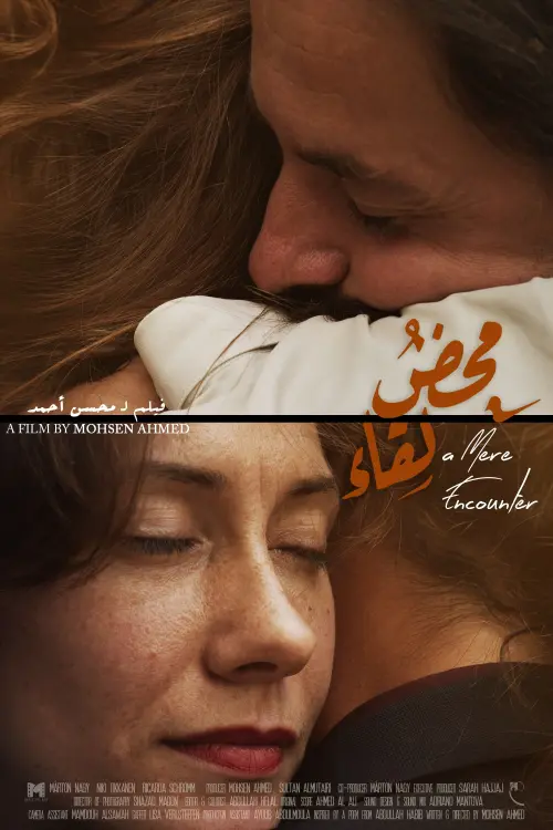 Movie poster "A Mere Encounter"