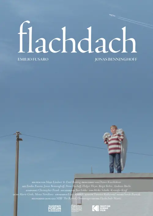 Movie poster "Flachdach"