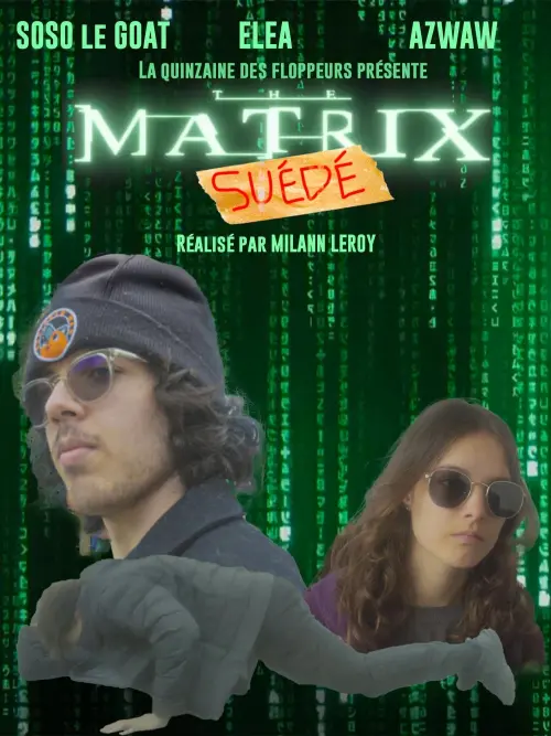 Movie poster "The Matrix : Suédé"