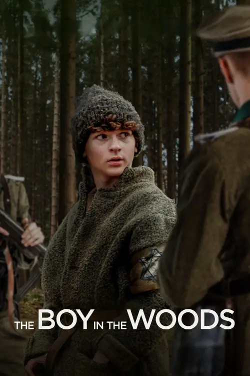 Movie poster "The Boy in the Woods"