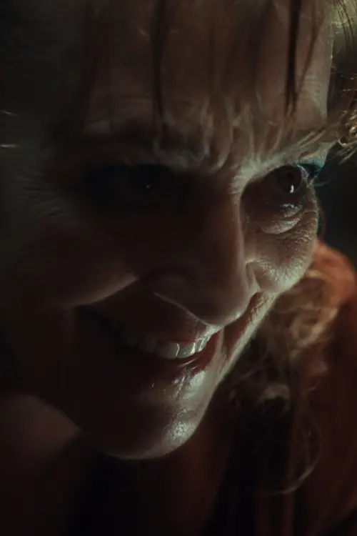 Movie poster "Crazy Old Lady"