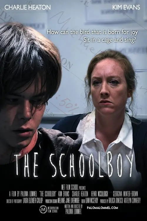 Movie poster "The Schoolboy"