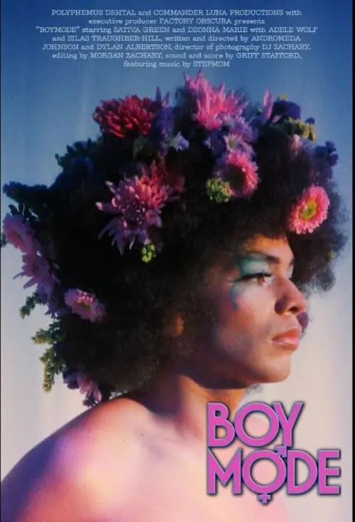 Movie poster "Boy Mode"