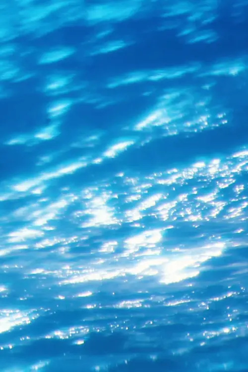 Movie poster "Shapeless Variations"