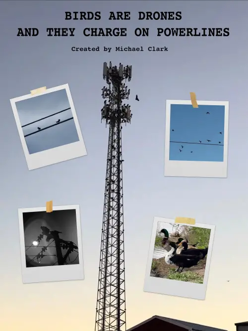 Movie poster "BIRDS ARE DRONES AND THEY CHARGE ON POWERLINES"