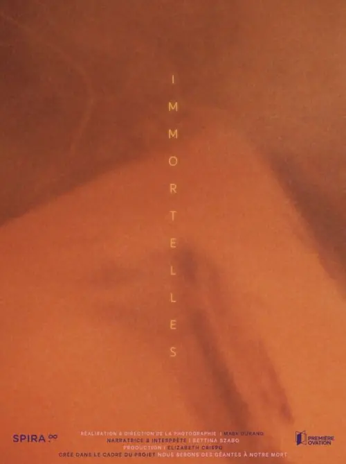 Movie poster "Immortals"